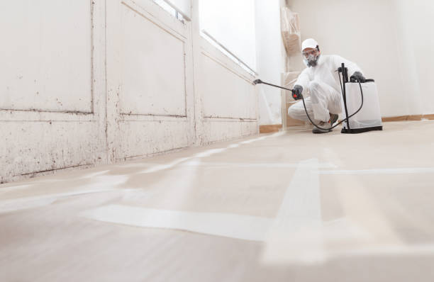 24/7 Emergency Mold Remediation experts in Cherry Hill, VA